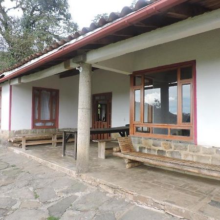 Casa Rural El Ocelote San Antonio  Exterior photo